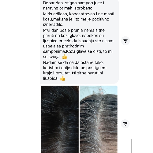 Neww Å¡amp